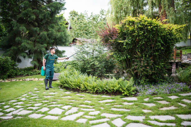 Best Mosquito Control Services  in La Presa, CA