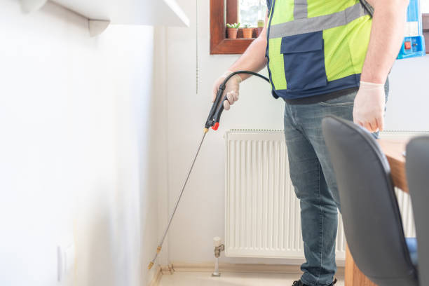 Best Affordable Pest Control Services  in La Presa, CA